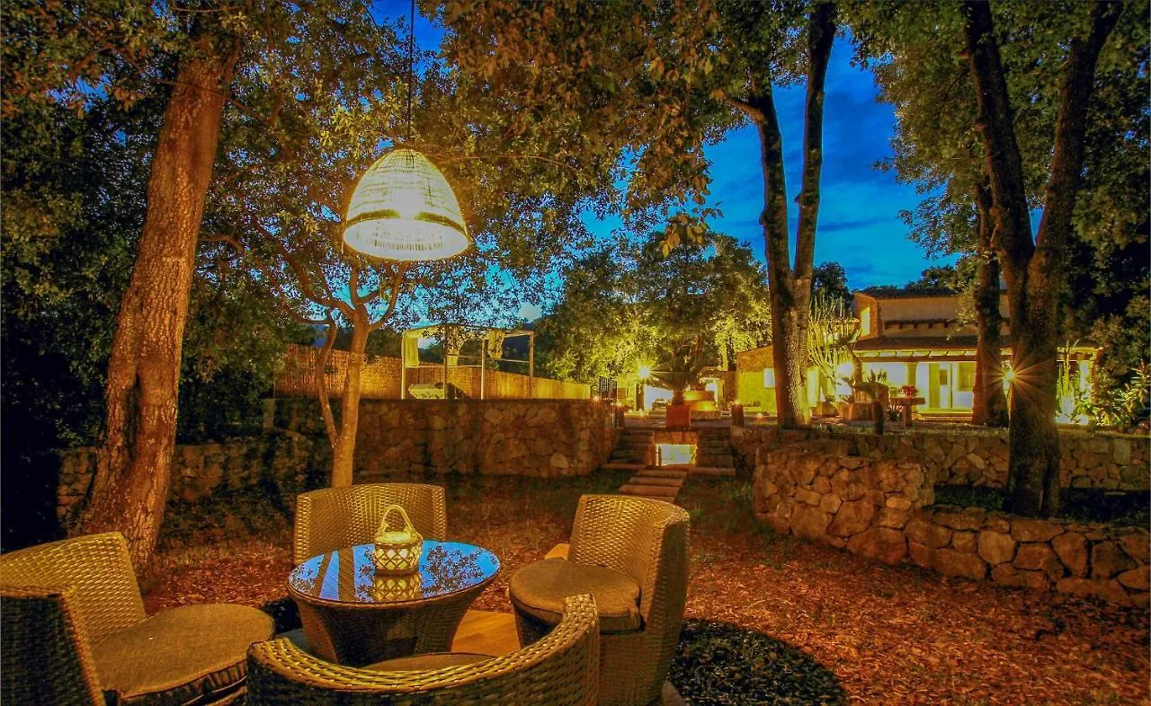 Pollenca - 35171 Mallorca 포엔샤 항구 스페인