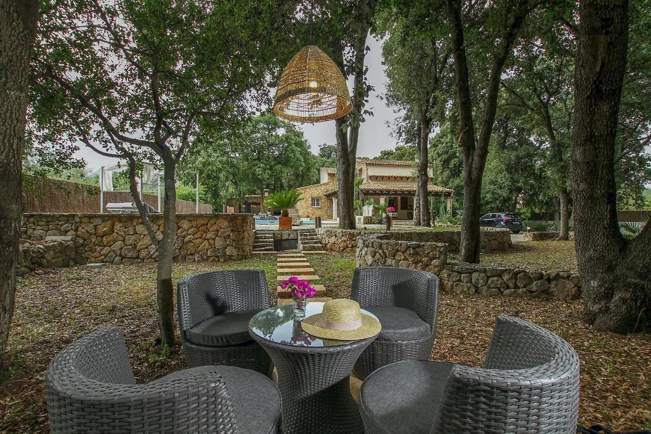 Pollenca - 35171 Mallorca 포엔샤 항구